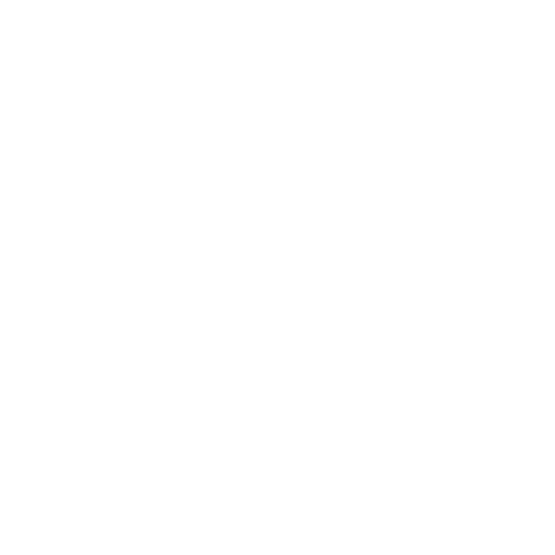 FlexMoney logo